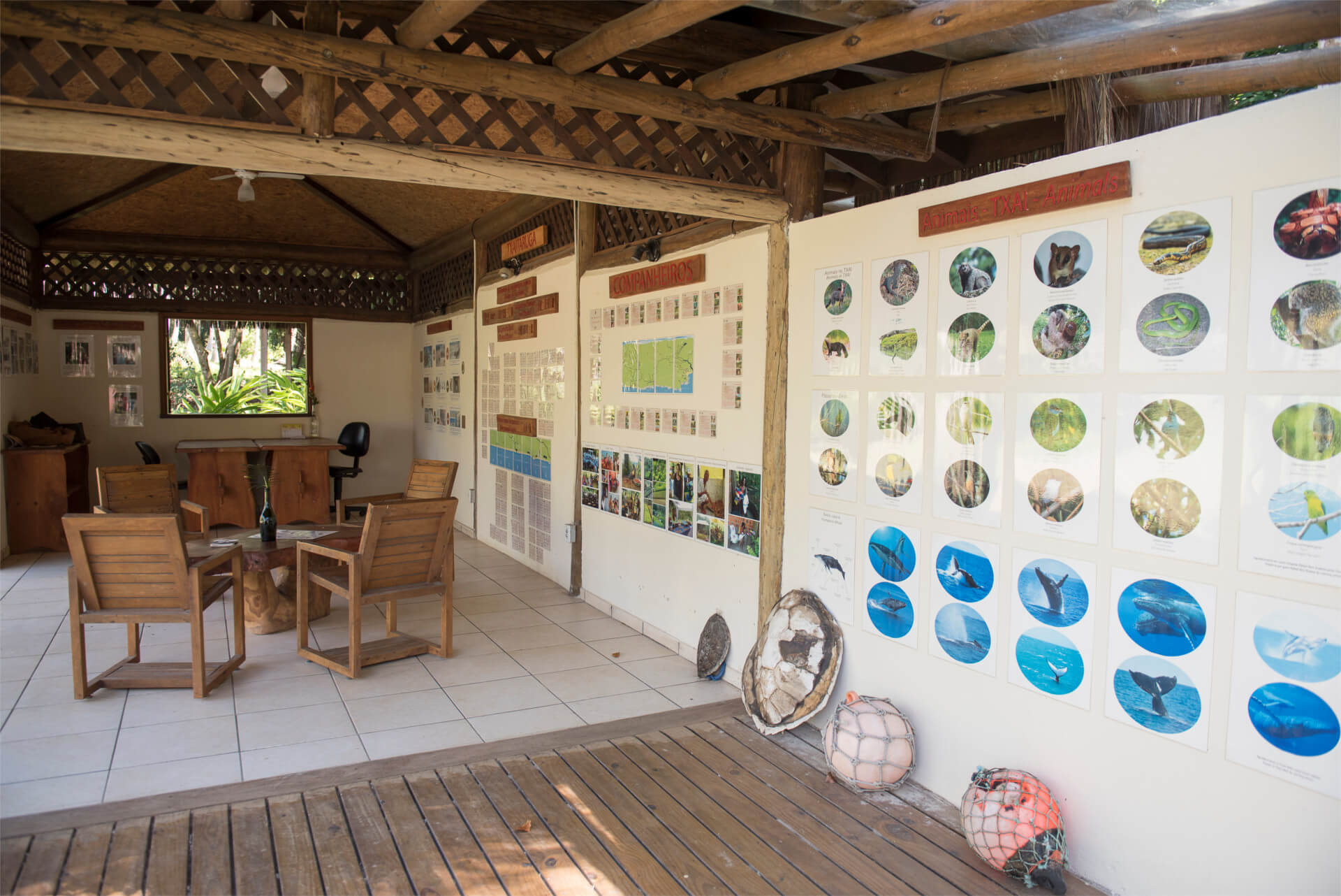 Instituto Companheiros do Txai